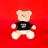 “Friendly” Teddy Bear