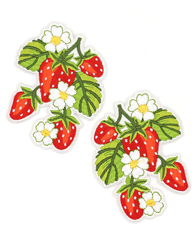 Strawberry Plant Patch Set