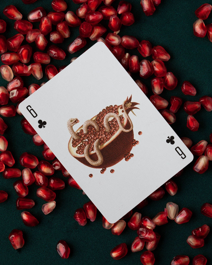 Armando Veve Cabinetarium Artist Playing Cards-Art of Play-Strange Ways