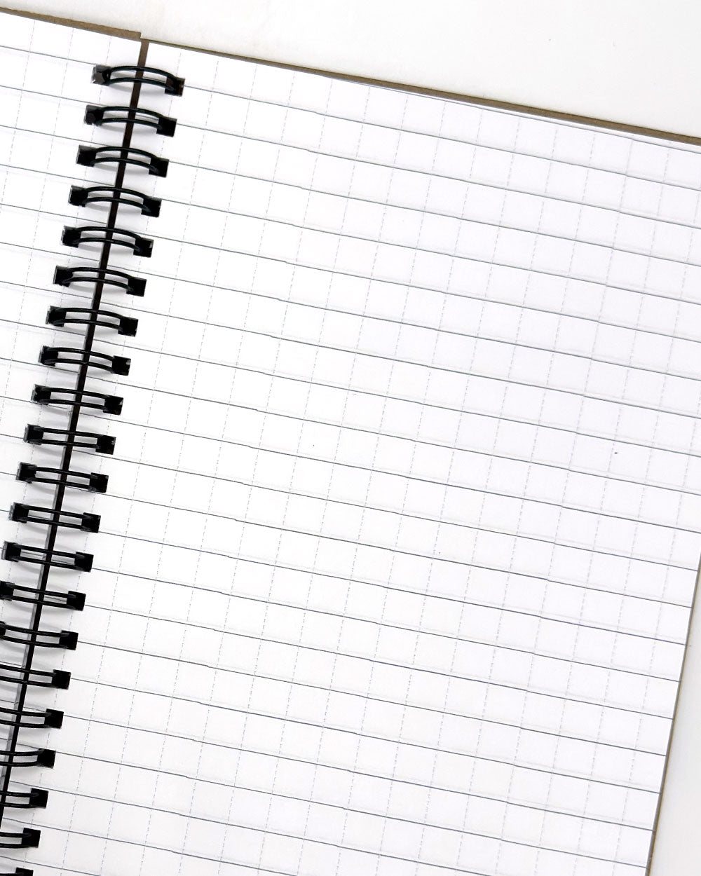 Skull Head Notebook-Backerton-Strange Ways