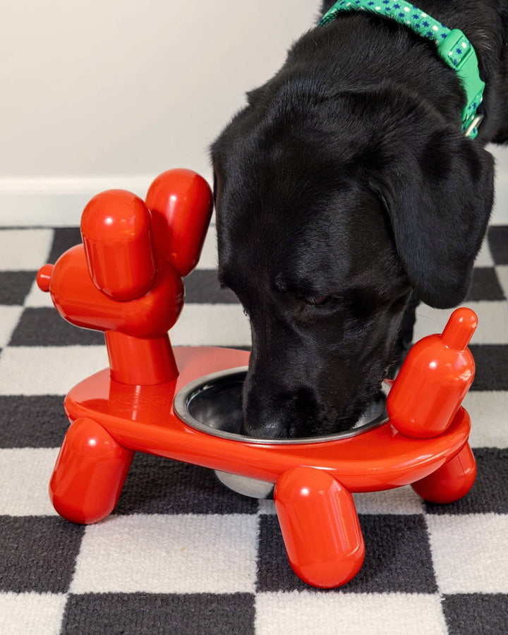 Balloon Dog Pet Bowl-BigMouth Inc.-Strange Ways