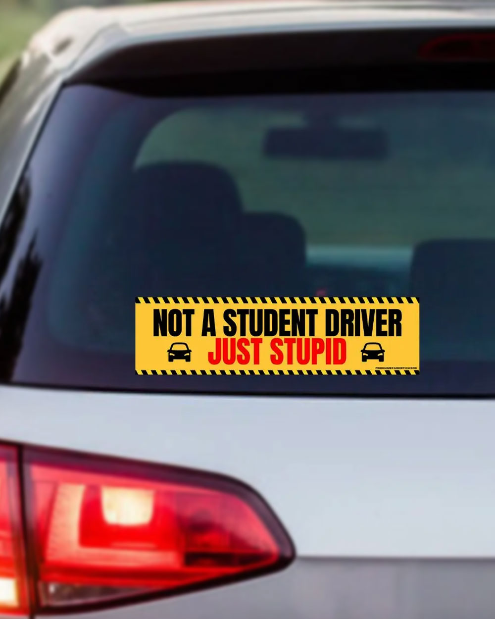 Not A Student Driver, Just Stupid Bumper Sticker-Frog Mustard Stickers-Strange Ways