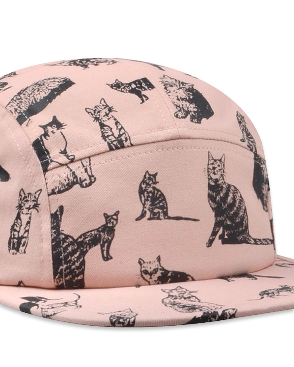 Cartoon Cats Panel Hat-Hatphile-Strange Ways