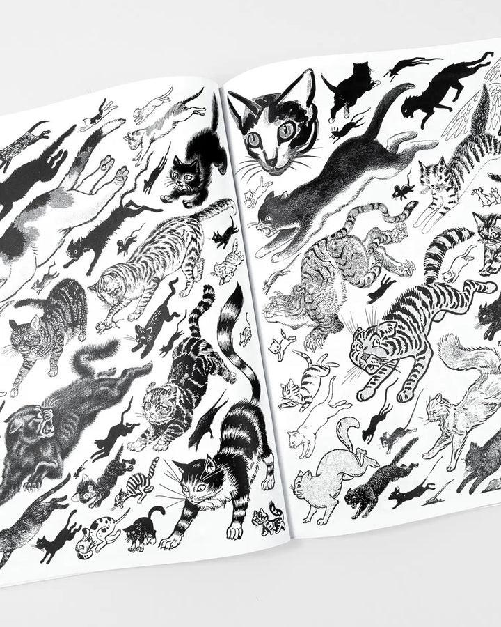 Crap Hound Art Zine - Cats-Sean Tejaratchi-Strange Ways