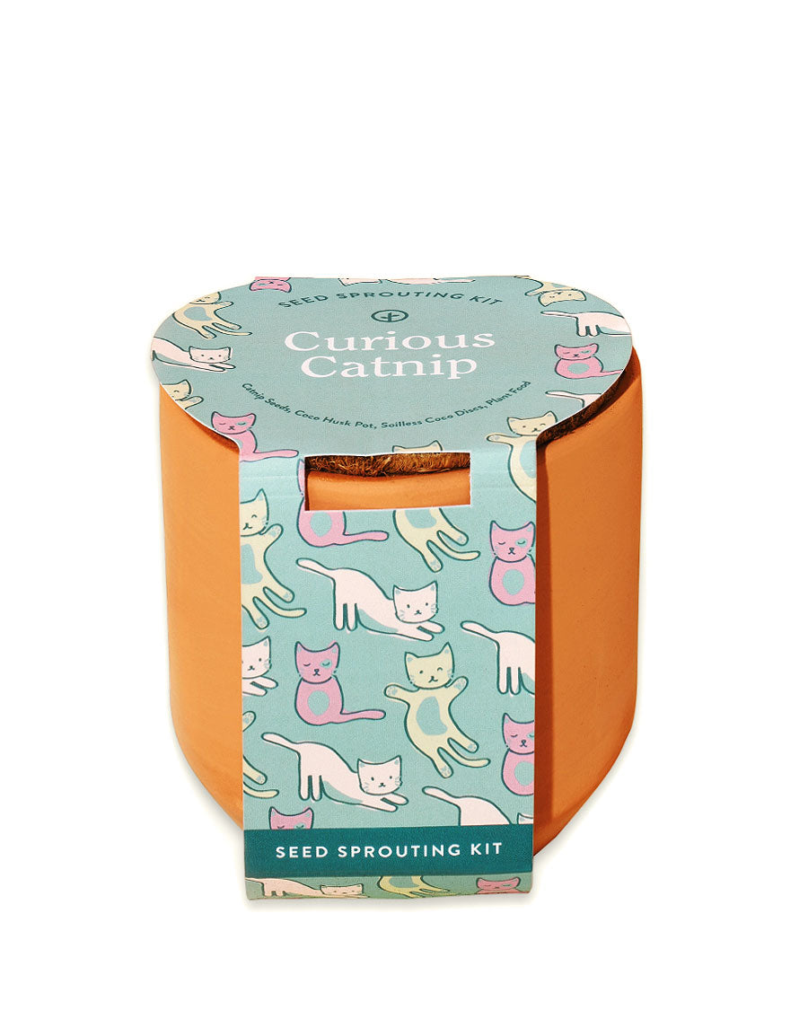 Curious Catnip Grow Kit-Modern Sprout-Strange Ways