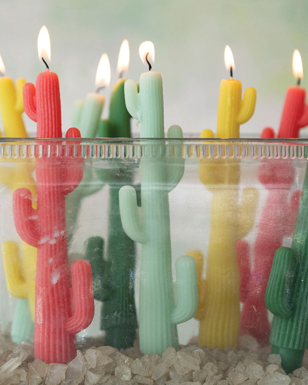 Cactus-shaped taper candles, multiple colors, lit in a glass holder