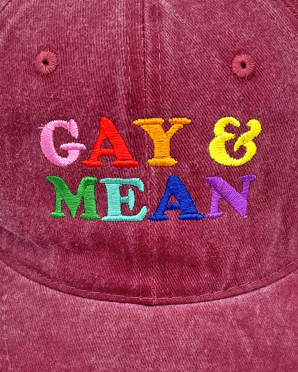 Gay & Mean Dad Hat-Cunning Linguist Co.-Strange Ways
