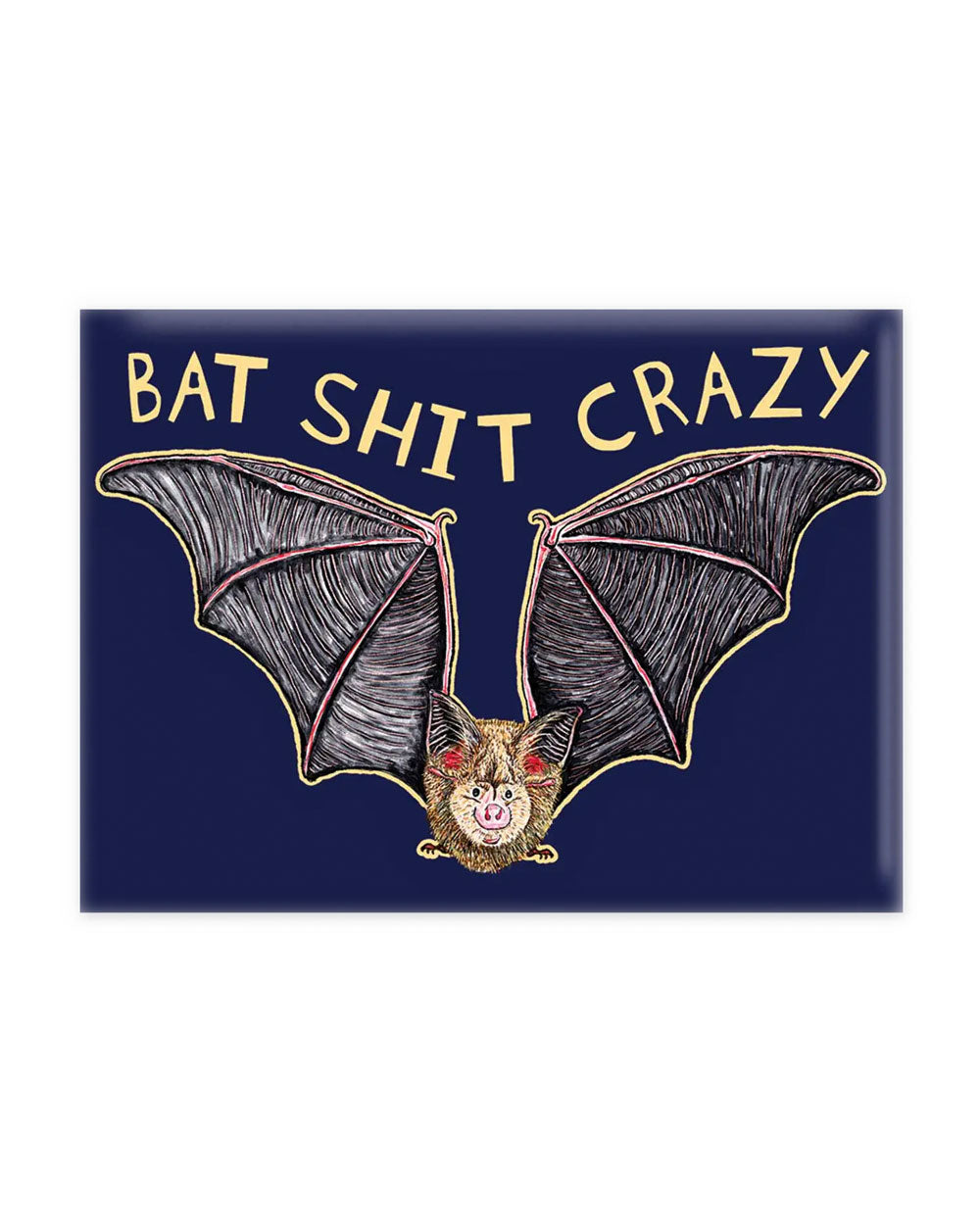 Bat Shit Crazy Magnet-Nice Enough-Strange Ways