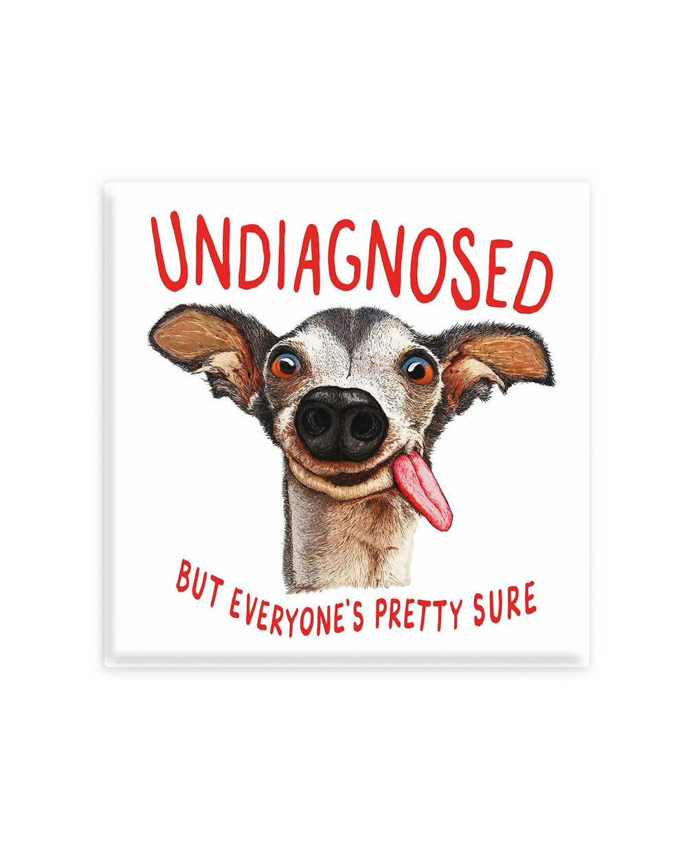 Undiagnosed Dog Magnet-Nice Enough-Strange Ways