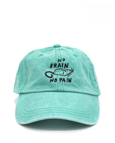 No Brain No Pain Dad Hat
