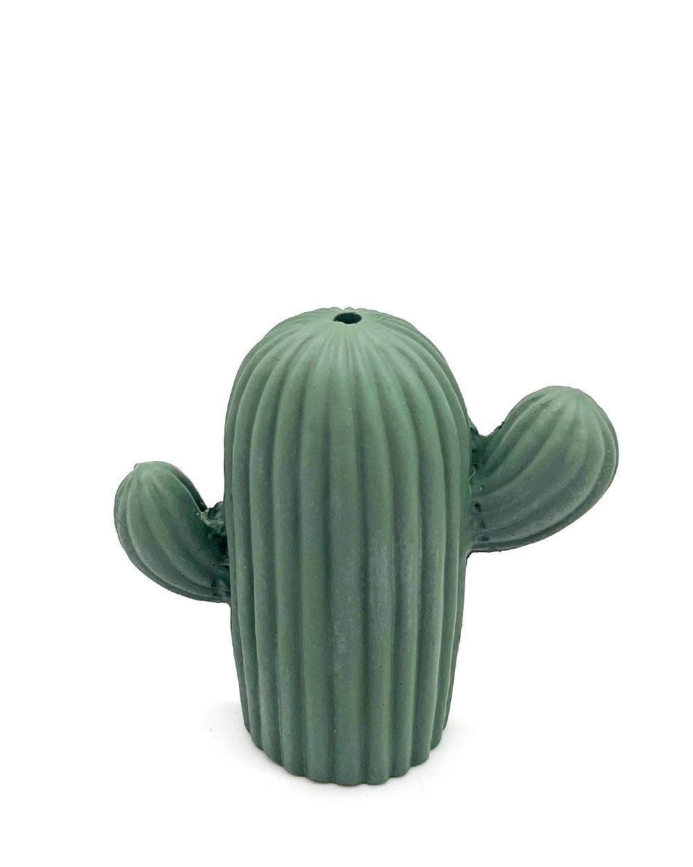 Cactus Incense Holder