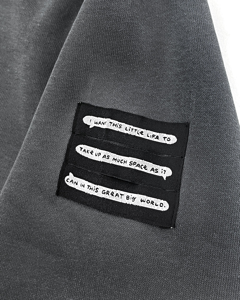 Kyouryuu Embroidered Unisex Sweatshirt-Karepango-Strange Ways