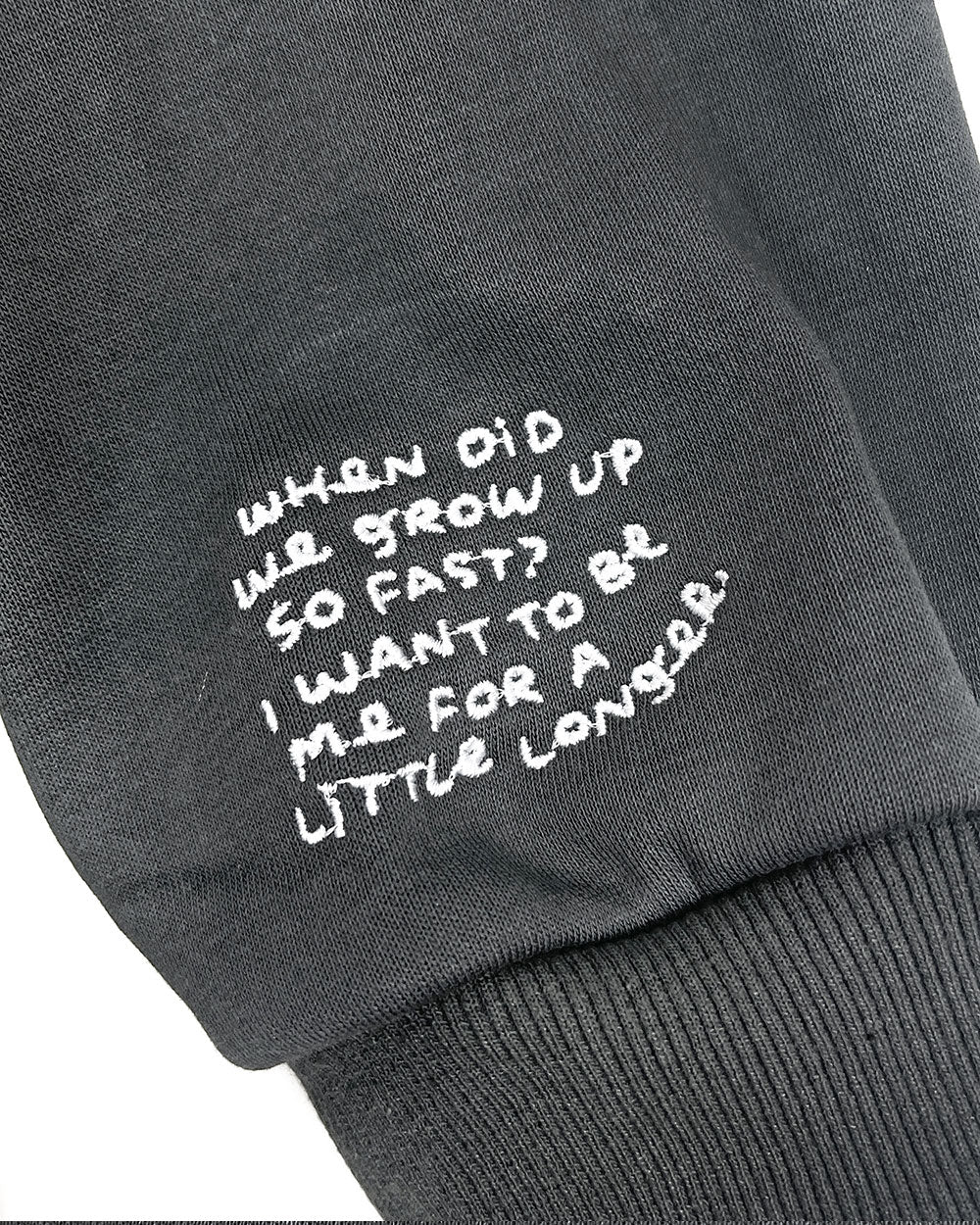 Kyouryuu Embroidered Unisex Sweatshirt-Karepango-Strange Ways