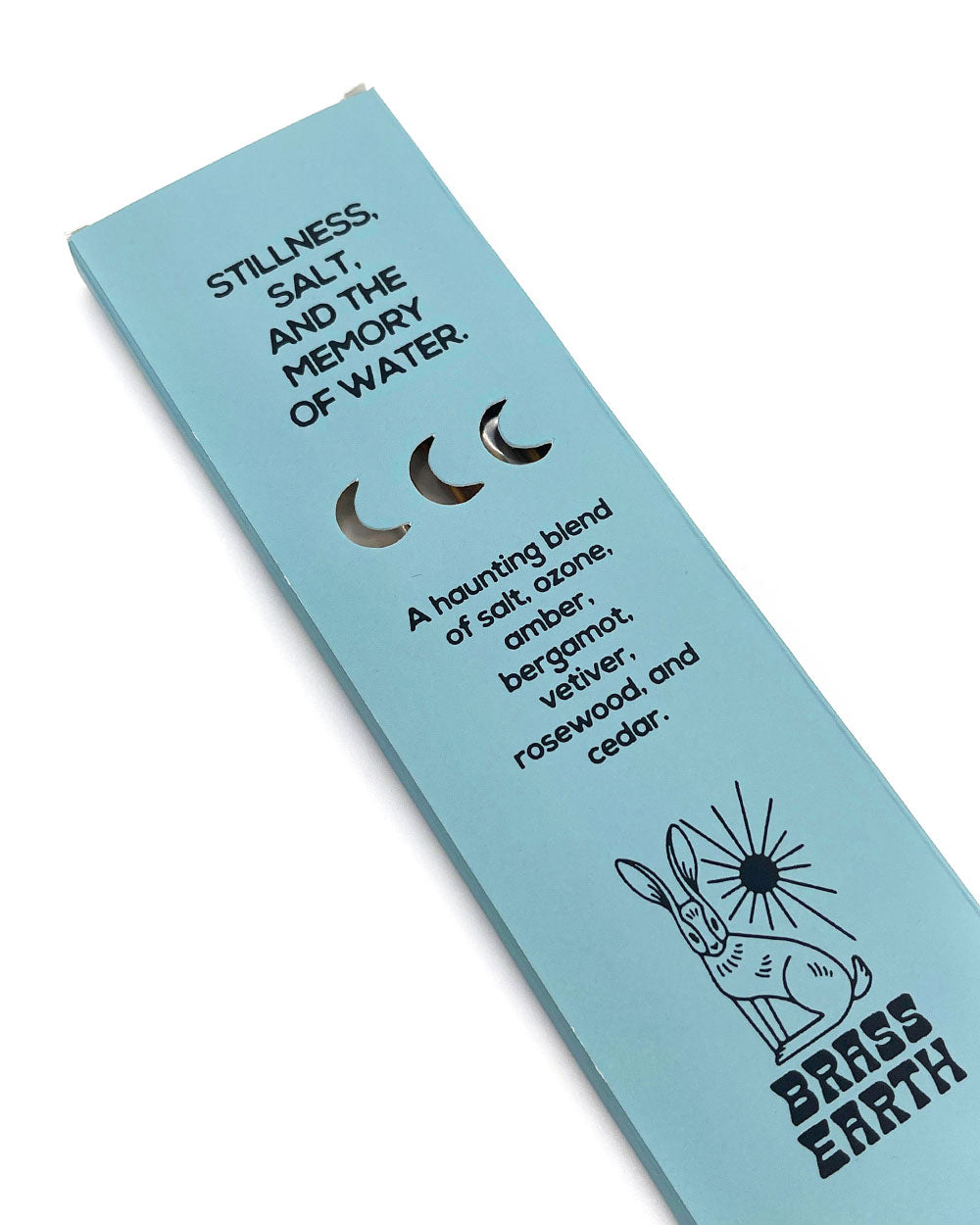 Ghost Lake Luxe Incense Sticks (15ct)-Brass Earth-Strange Ways