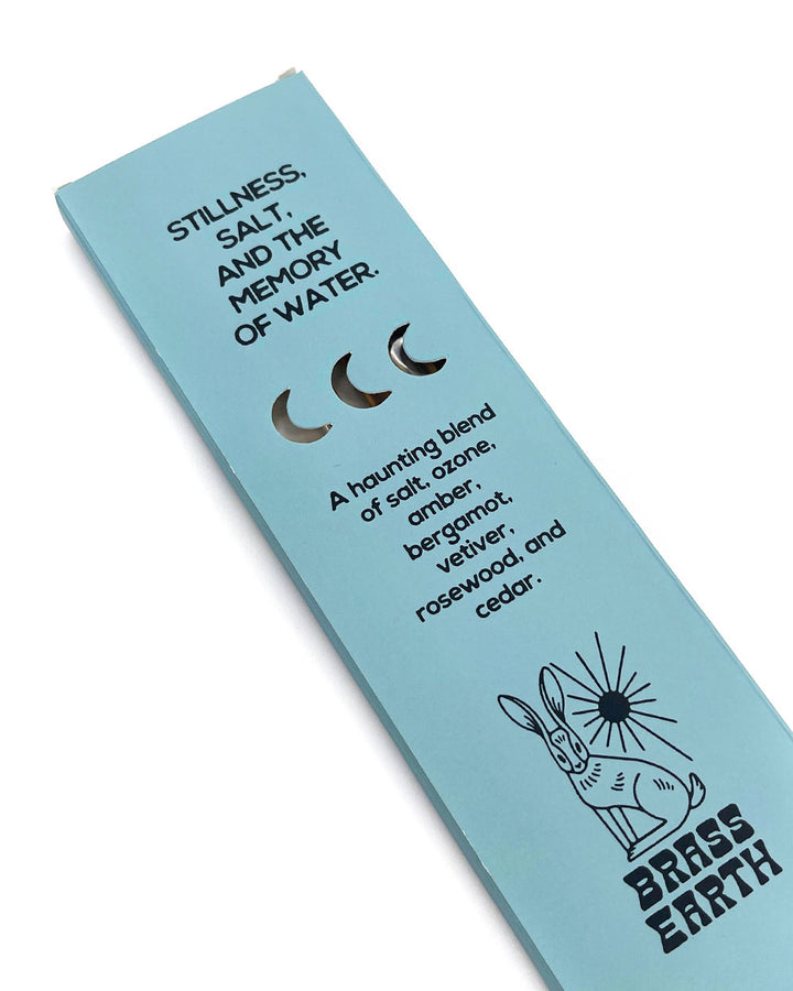 Ghost Lake Luxe Incense Sticks (15ct)-Brass Earth-Strange Ways
