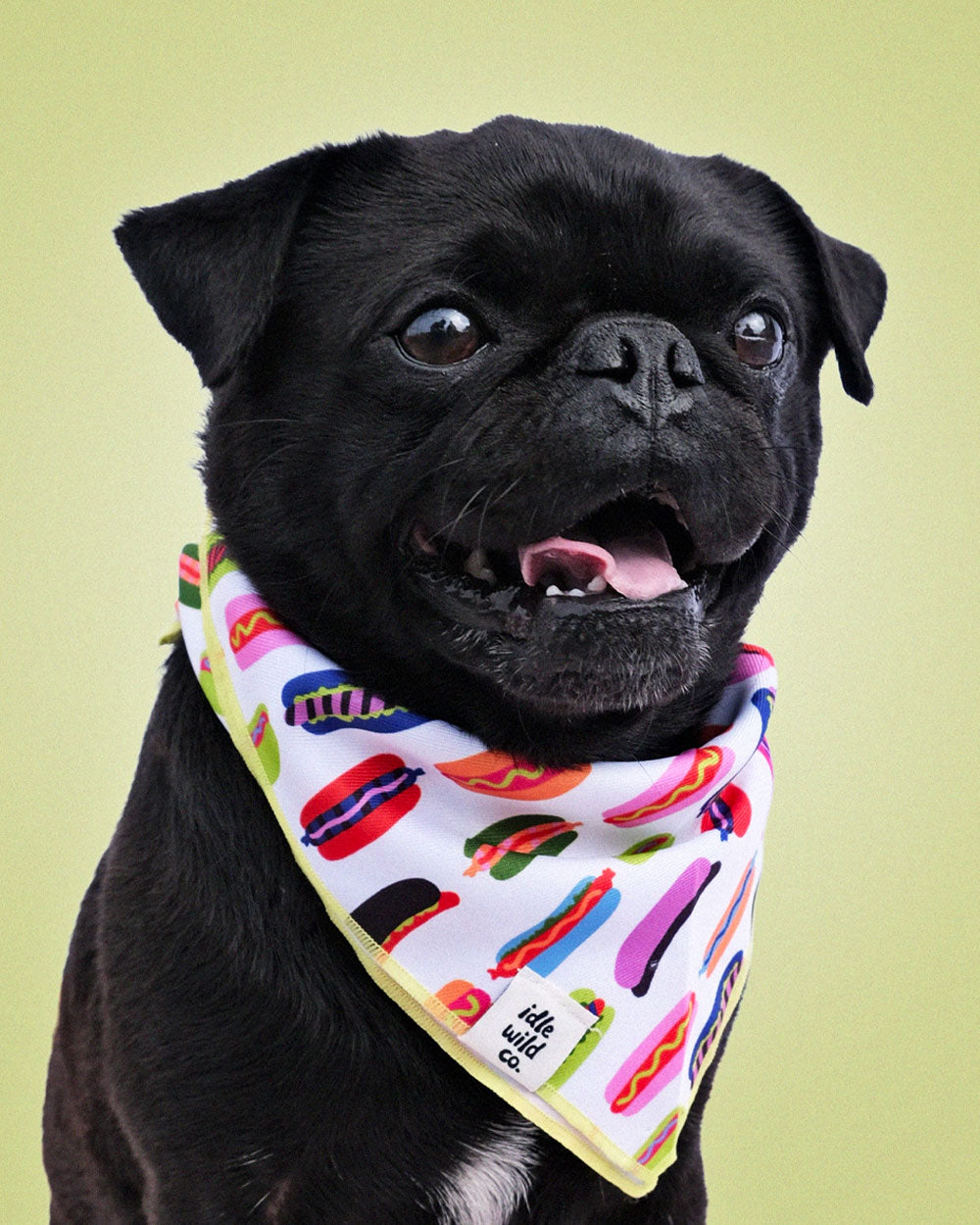 Hot Dogs Small Pet Bandana-Idlewild Co.-Strange Ways