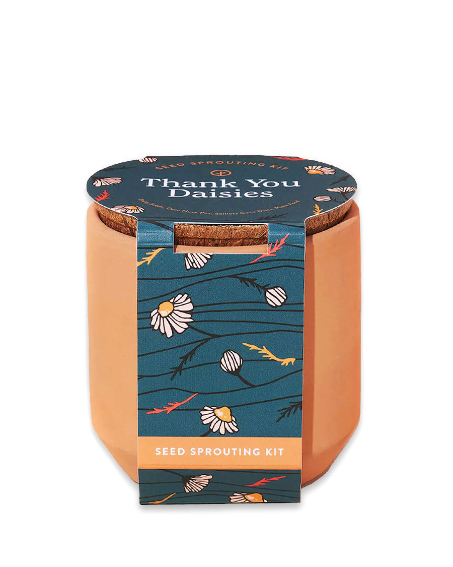Thank You Daisies Grow Kit-Modern Sprout-Strange Ways