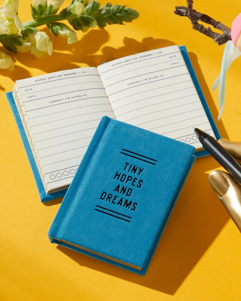 Tiny Hopes And Dreams Pocket-Sized Journal-Brass Monkey-Strange Ways