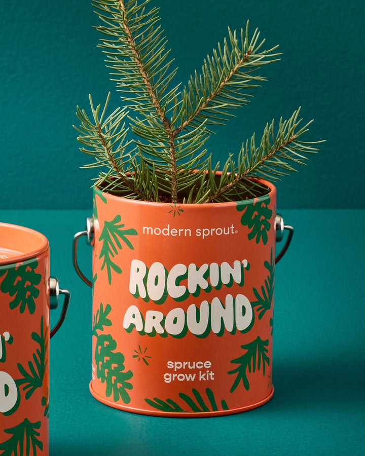 Rockin' Around Spruce Grow Kit-Modern Sprout-Strange Ways