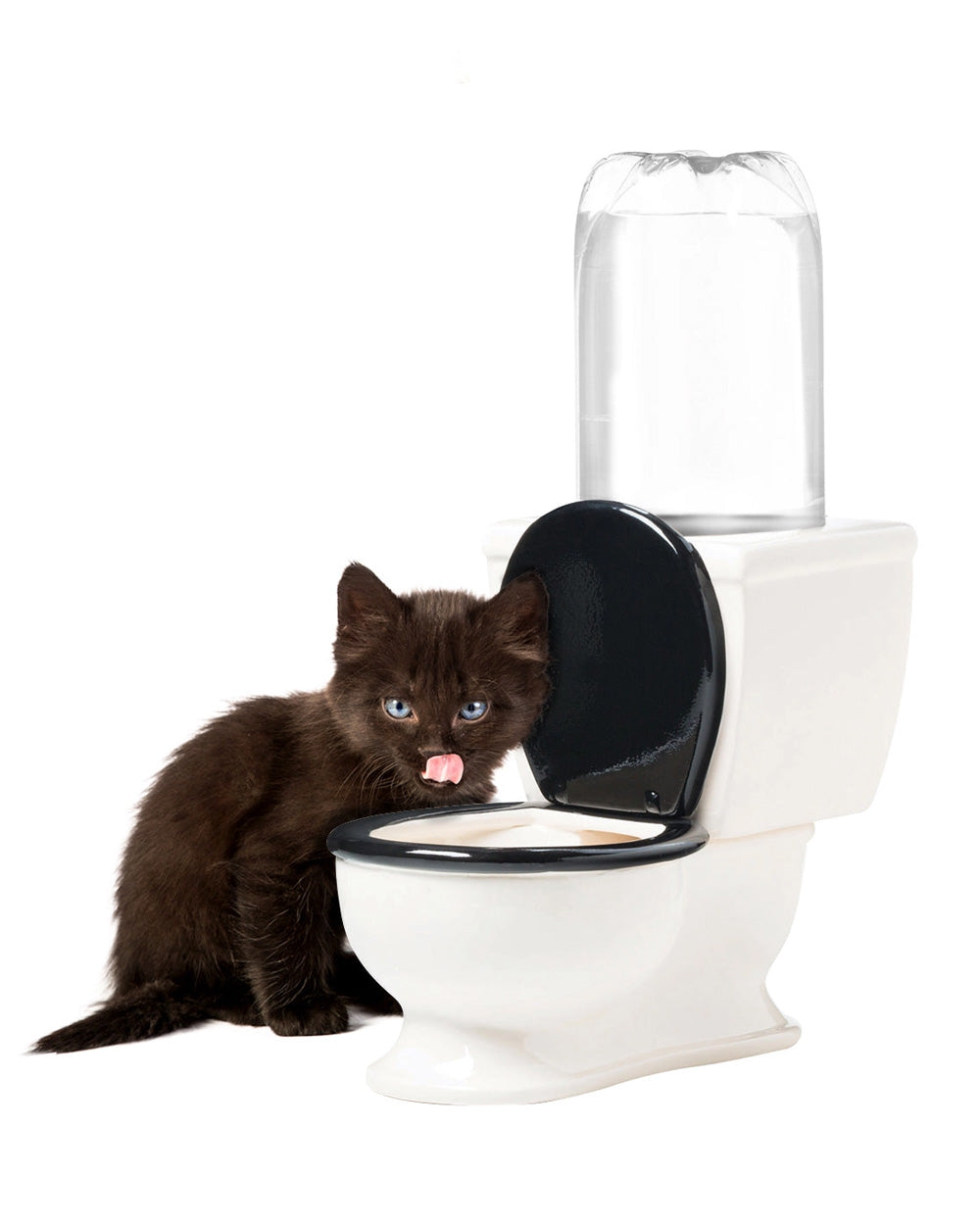 Toilet Pet Bowl