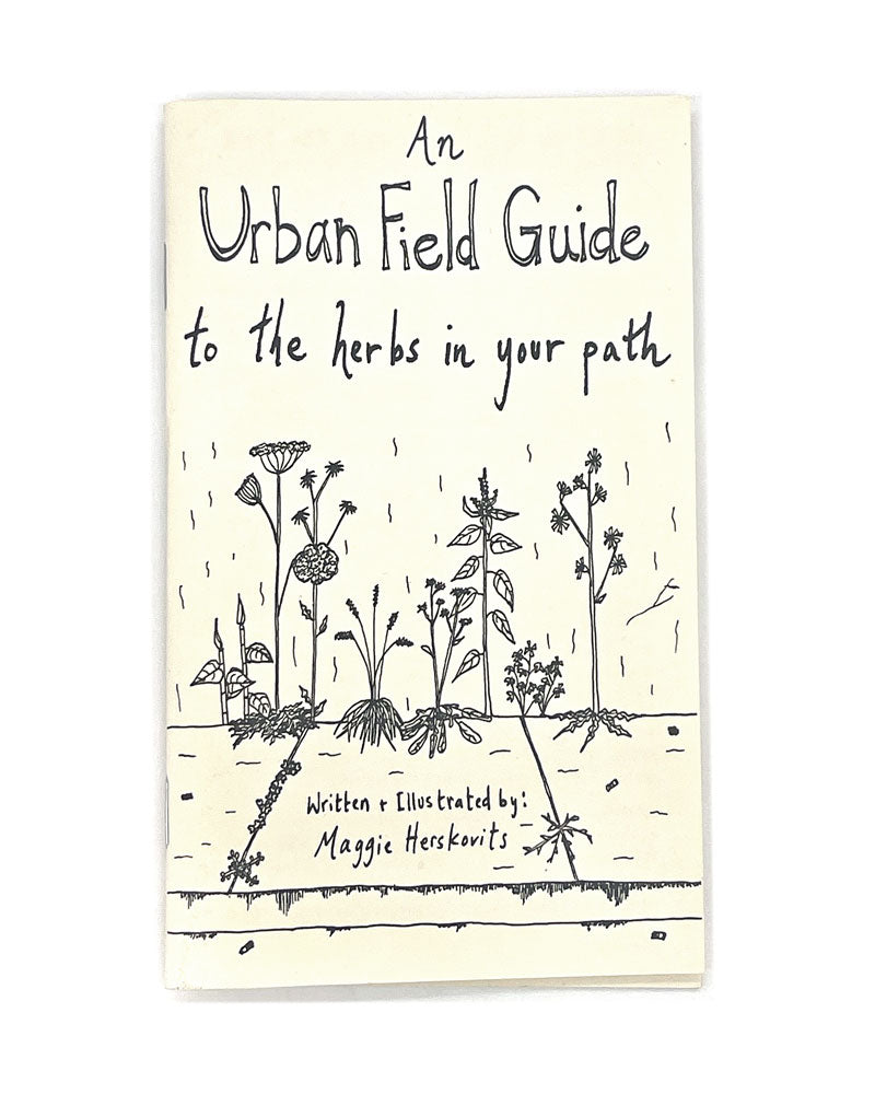 An Urban Field Guide To The Herbs In Your Path Zine-Maggie Herskovits-Strange Ways