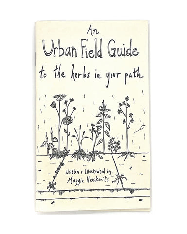 An Urban Field Guide To The Herbs In Your Path Zine