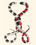 Always And Forever Snakes Art Print (8" x 10")-Ryan Berkley Illustration-Strange Ways