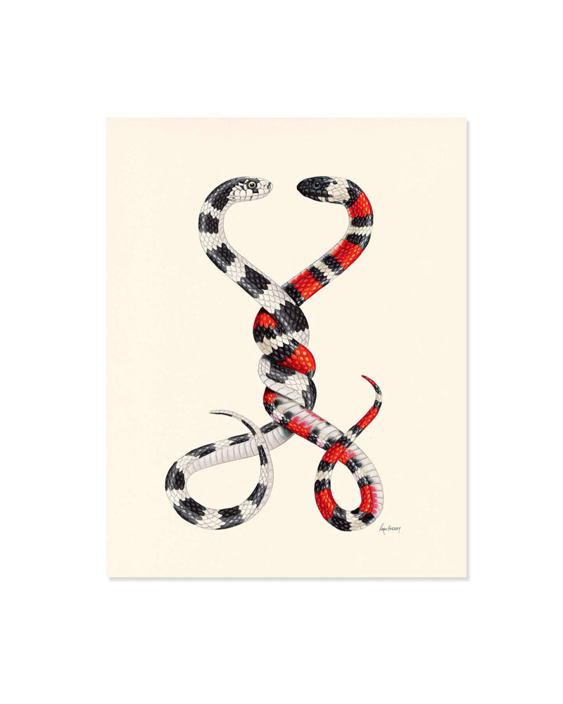 Always And Forever Snakes Art Print (8" x 10")-Ryan Berkley Illustration-Strange Ways